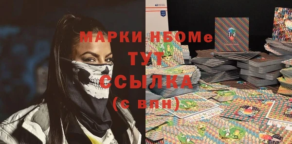 хмурый Алзамай