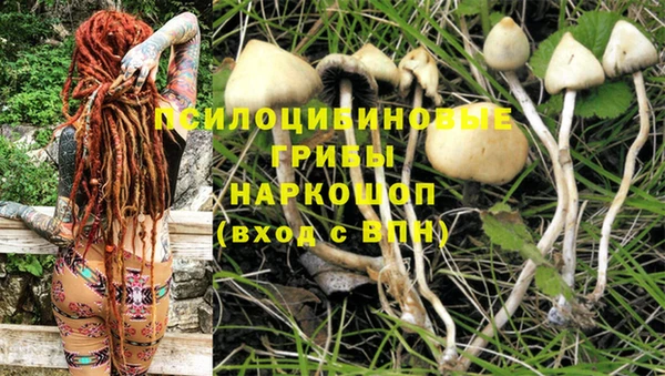 бошки Абинск